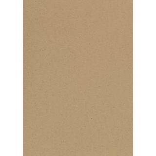 Bastelkarton Natur, 50x70cm, 220g,  braun, 10 Bogen