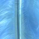 Marabufeder, 80 - 100 mm, 2 g ~ 22 Stk., hellblau