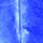 Marabufeder, 80 - 100 mm, 2 g ~ 22 Stk., blau