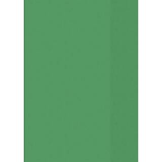 Hefthülle A4 grün transparent Folie