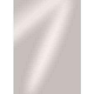 Spiegelkarton Starlight Silver, A4, 270g
